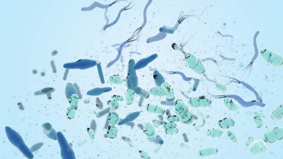 microbiome, microbial, bacteria, microflora, gut, intestine, metagenomics, Clostridium, Helicobacter, Enterococcus, pathogens